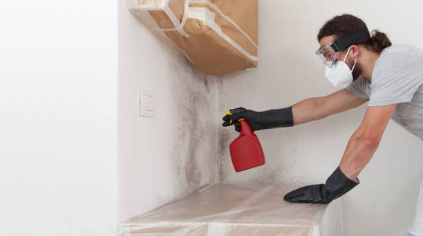 Professional Attic Mold Remediation technician working in East Islip, NY