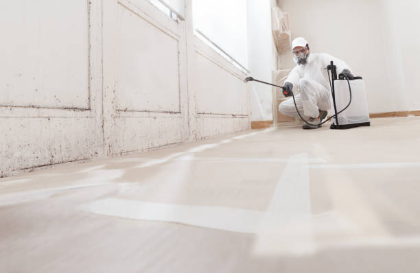 24/7 Emergency Attic Mold Remediation experts in East Islip, NY